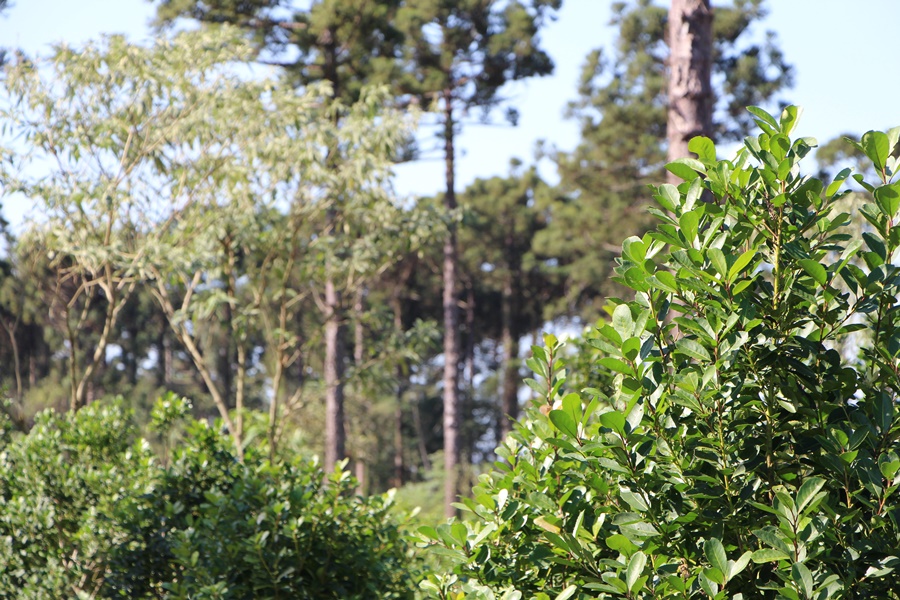 Respaldo del INYM para mejorar condiciones de trabajo y la productividad