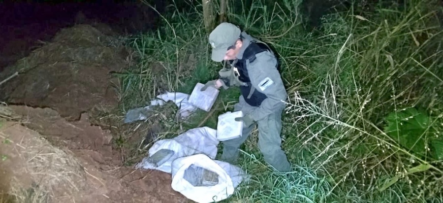 Gendarmería Nacional secuestró 83 kilos de marihuana acopiada en el monte: El estupefaciente fue hallado en un lugar merodeado por dos personas que se dieron a la fuga