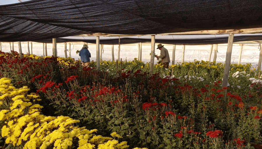 Con financiamiento internacional, impulsan proyectos de agricultura regenerativa en cinco provincias