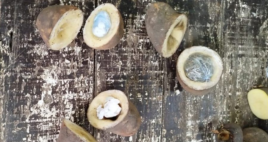 Misiones: Requisa detecta drogas “camufladas” en papas en la Unidad Penal VI del Servicio Penitenciario Provincial