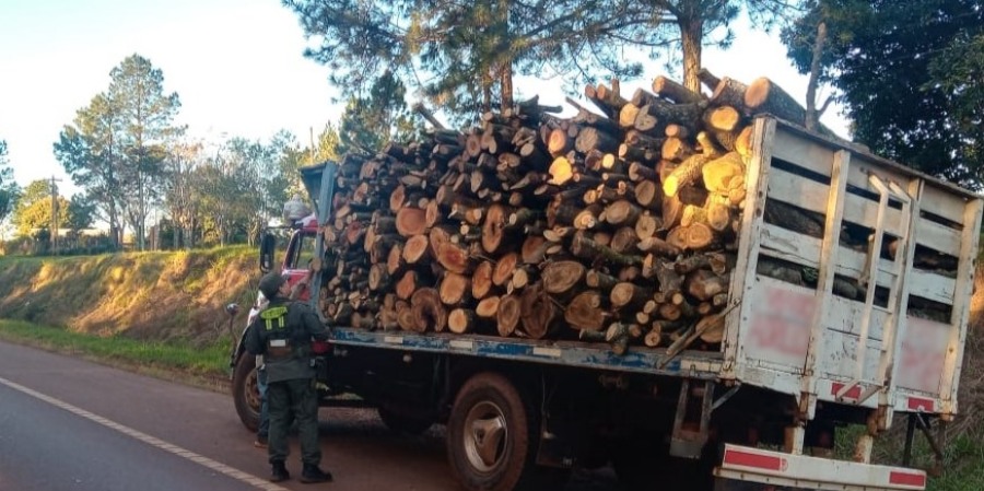 Gendarmes secuestraron madera nativa: La madera no contaba con la documentación necesaria para ser transportada
