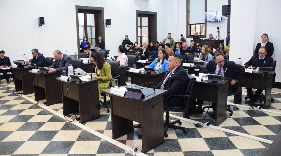 Concejales posadeños aprobaron la creación del programa de prevención y detección temprana de la violencia