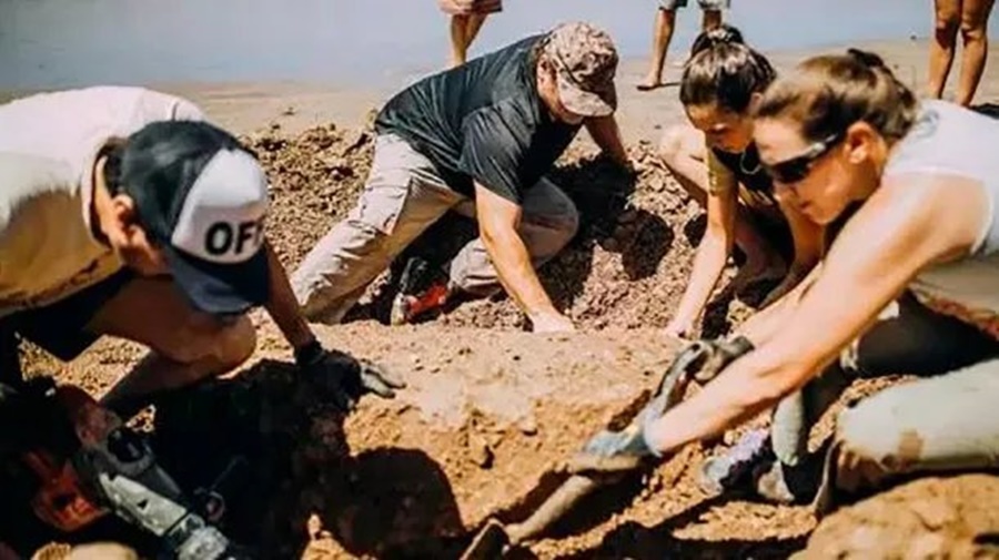 Chapadmalal: Encontraron dos gliptodontes de tres millones de años