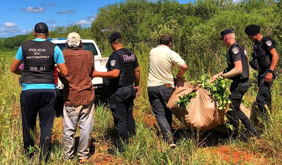 Lo arrestaron por robar casi una tonelada de yerba mate a su vecino, en la localidad misionera de Aristóbulo del Valle