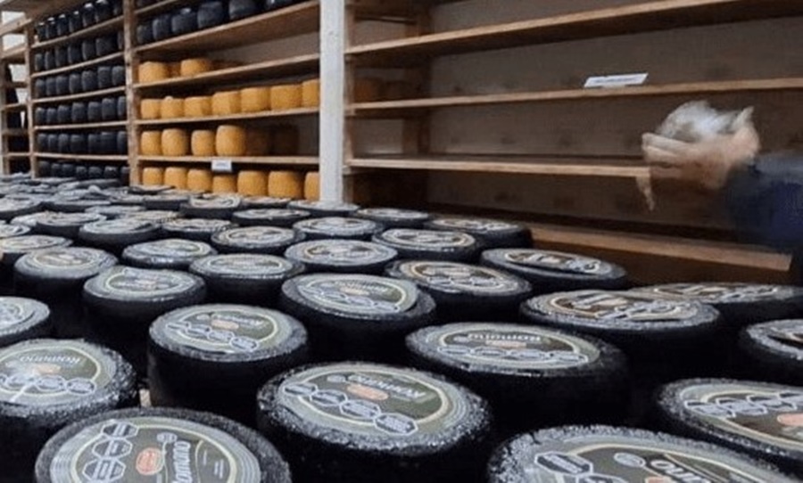 Ya es oficial: Las exportaciones de lácteos, sin retenciones hasta fin de año