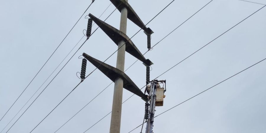 Energía de Misiones protege líneas de alta tensión con mirada sostenible