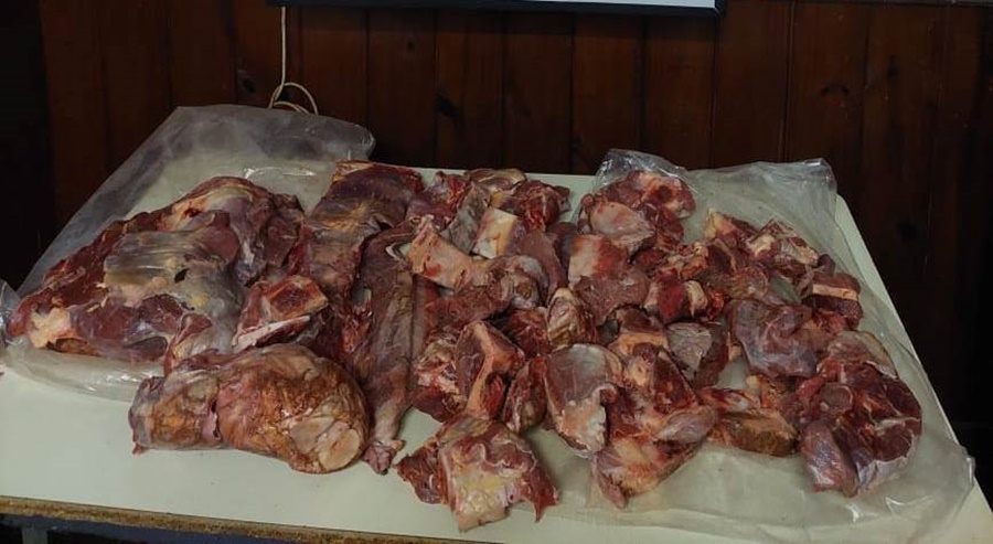 San José: Detuvieron a un individuo de 23 años y se secuestró carne faenada, que era de un toro raza brangus colorado de 800 kilos aproximadamente