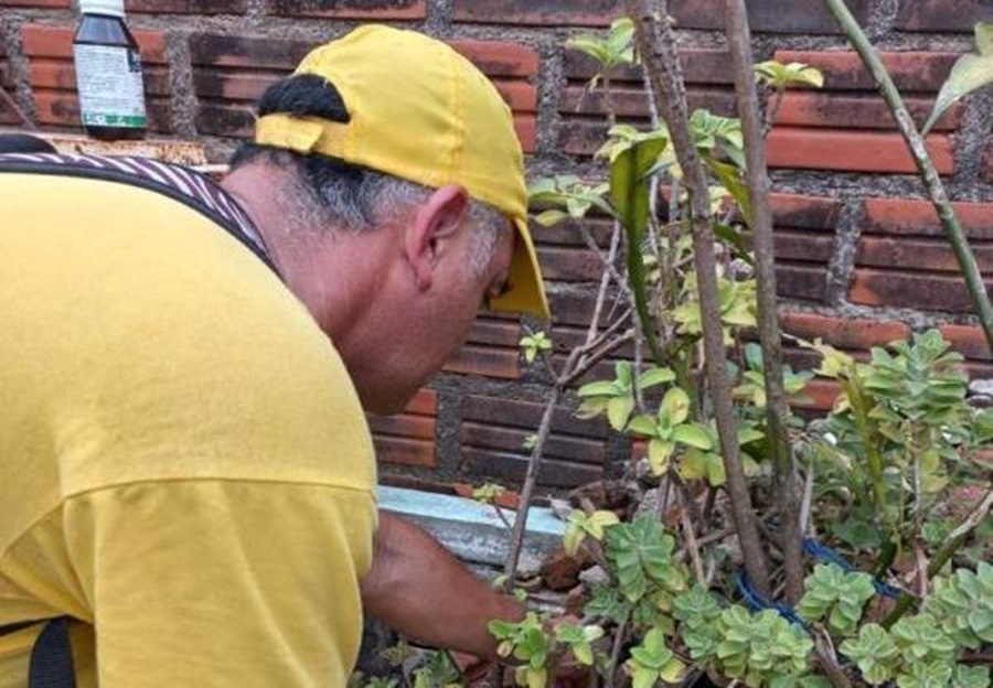 Ante el contexto epidemiológico regional en materia de enfermedades vectoriales: Salud Pública Provincial y el Municipio de Posadas realizan las acciones de prevención y control del vector en distintos puntos de la ciudad