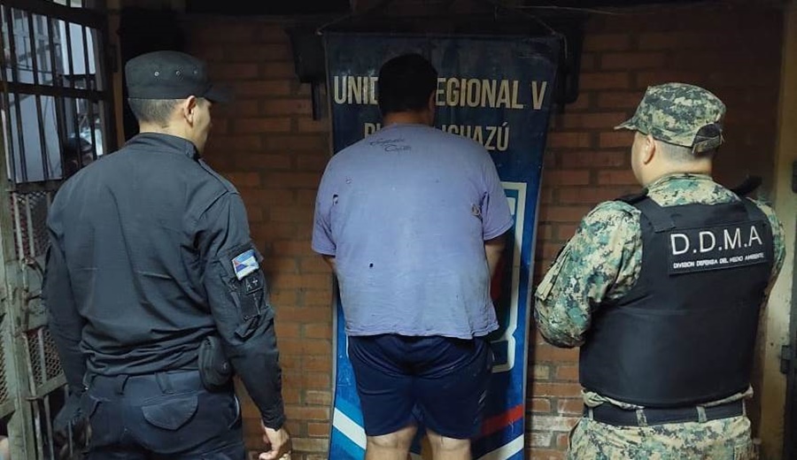 Detuvieron a un individuo de 30 años que mató a un mono carayá en la localidad misionera de Wanda