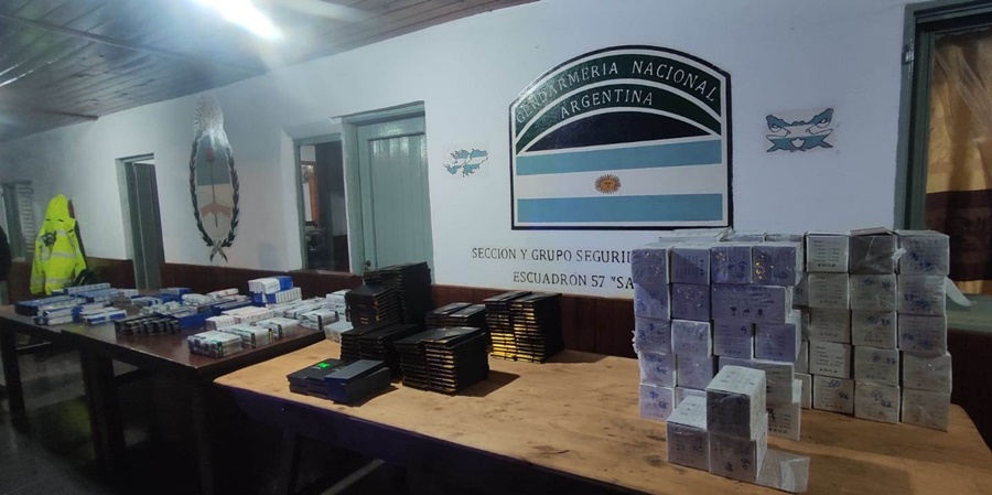 Gendarmería Nacional secuestró millonaria cantidad de anabólicos, teléfonos y repuestos electrónicos