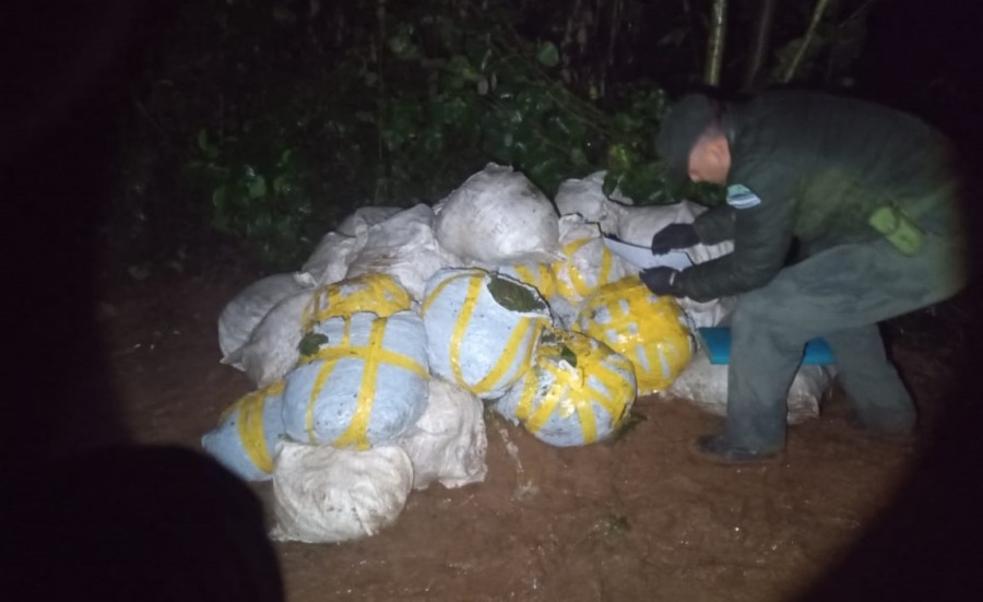 Más de media tonelada de marihuana fue secuestrada en el Municipio misionero de Puerto Piray: Bolsas plásticas y de arpillera que contenían el estupefaciente se encontraban acopiadas a la vera de un camino