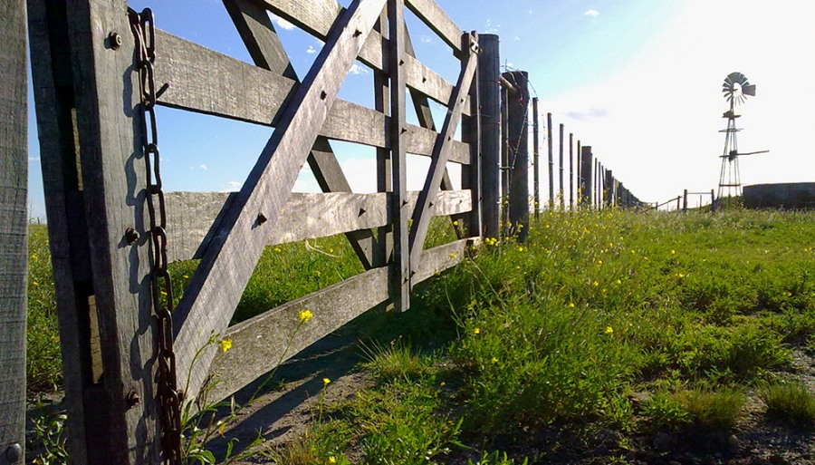 Afirman que el mercado inmobiliario rural pasa su mejor momento en una década