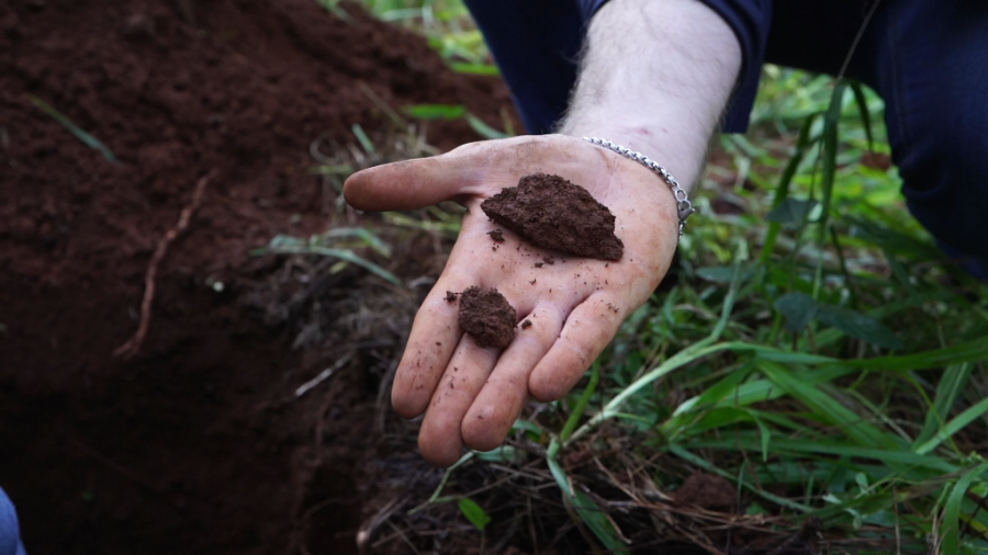 Día Provincial de la Conservación del Suelo Misionero, un recurso estratégico para futuras generaciones
