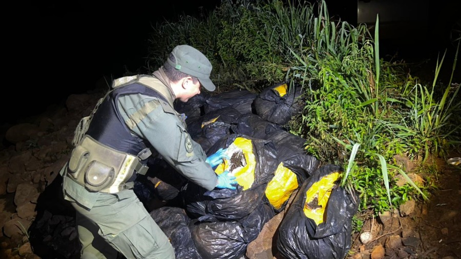 Gendarmes evitaron el tráfico de más de 500 kilos de marihuana: El estupefaciente se encontraba acopiado en una zona montuosa