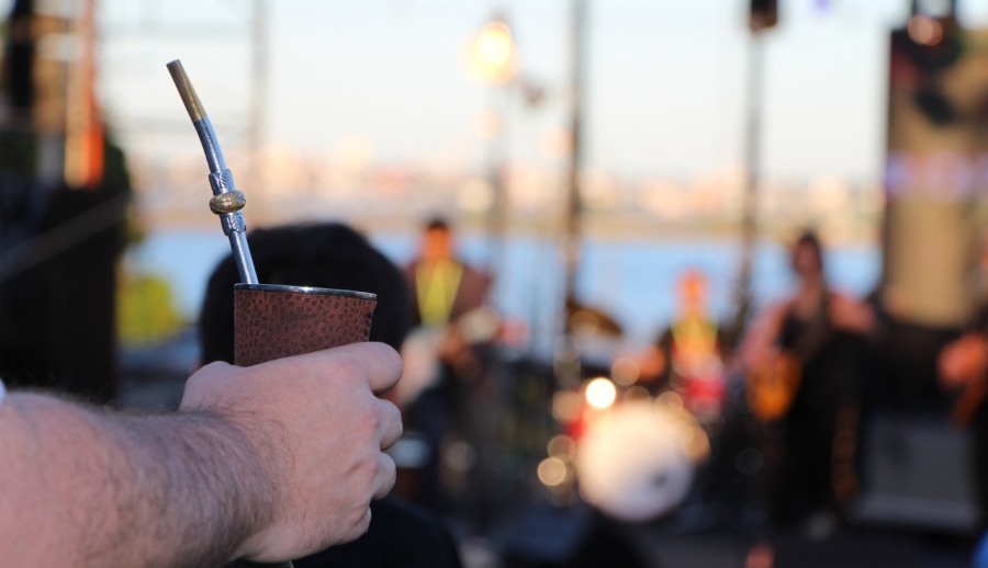 Las ventas de yerba mate superaron los 279 millones de kilos entre Enero y Noviembre