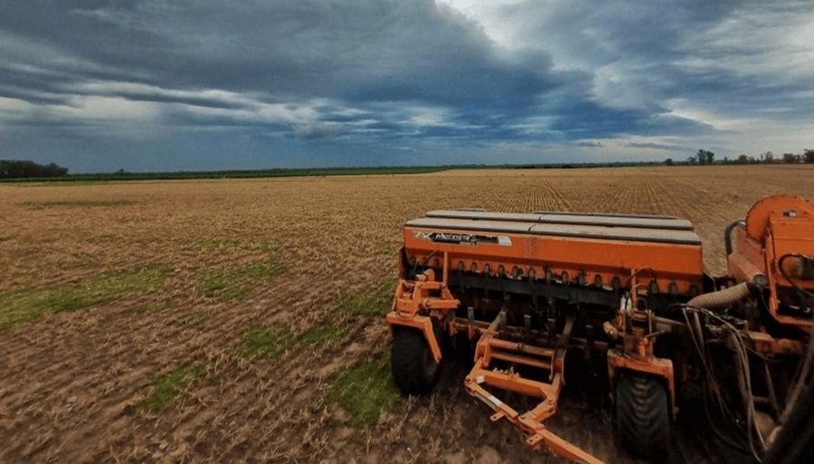 Panorama agrícola: Las continuas lluvias traen mejoras para todos los cultivos