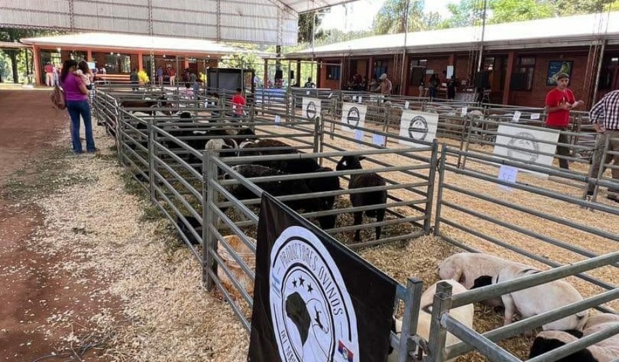En los Municipios de; Bernardo de Irigoyen y San Antonio la SROCEPM coronó el año de la ganadería menor en Misiones