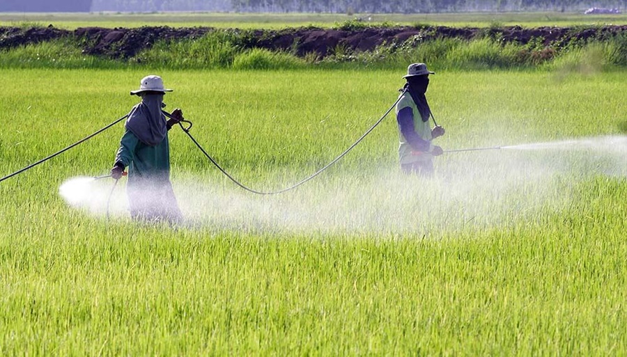 Misiones prohibió el glifosato y la Mesa de Enlace lo cuestionó con dureza: “Un embate a la producción”
