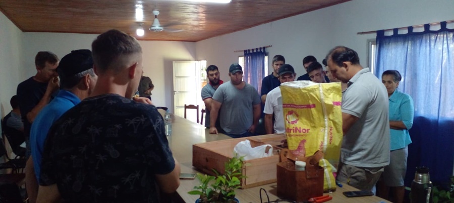 ¿Qué mirar a la hora de elegir un plantín de yerba mate?