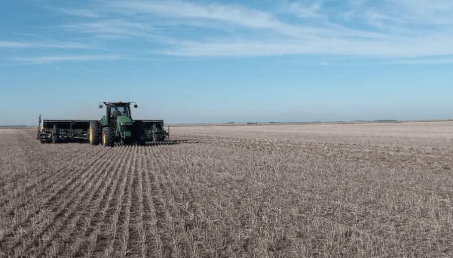 A la par del trigo, la cebada también ya inició la siembra 2024/25