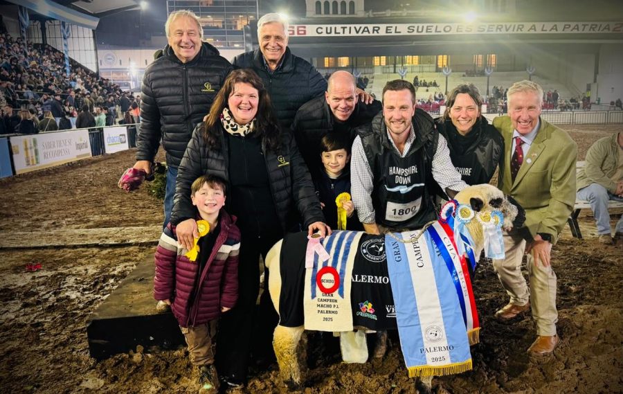 Genética ovina y tradición yerbatera de la provincia de Misiones al corazón del campo argentino
