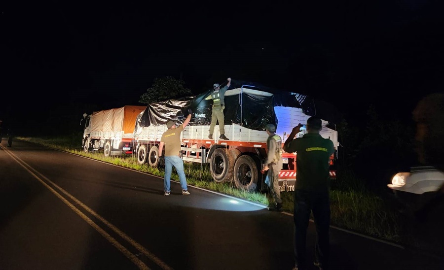 Misiones: Gendarmería Nacional interceptó un camión con acoplado que trasportaba estupefaciente