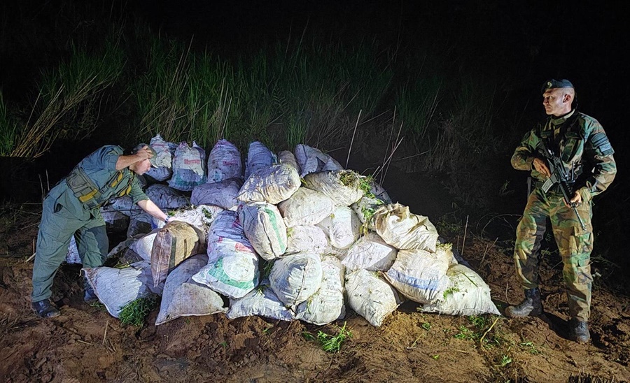 Gendarmería Nacional secuestró millonario cargamento de más de una tonelada de cogollos de marihuana, el estupefaciente estaba siendo acopiado sobre las costas del Río Paraná