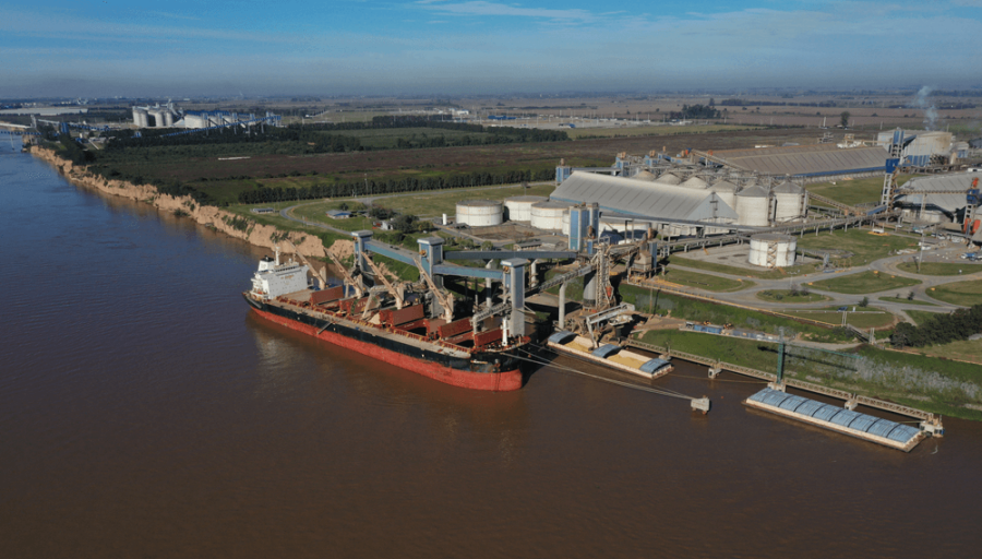 Sin sorpresas, la soja lideró las exportaciones del agro durante Mayo