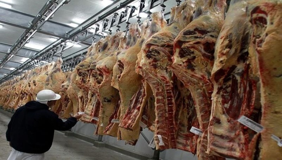 En alerta por la caída en la faena, la industria frigorífica reclama medidas contra la informalidad