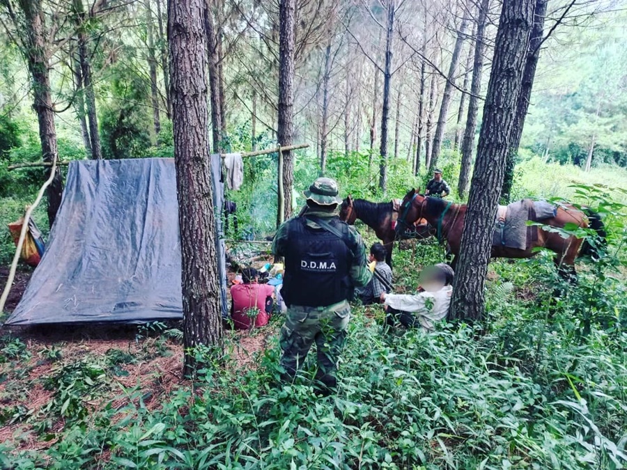 Misiones: Detuvieron a tres cazadores furtivos armados con escopetas y desmantelaron su campamento