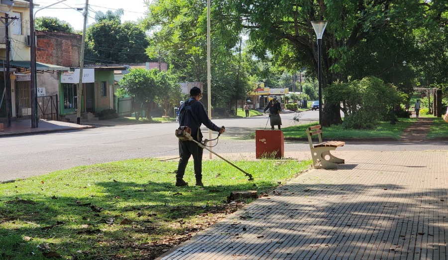 Apóstoles: Cortes del césped en plazas y plazoletas, un trabajo diario para mantener la ciudad limpia y ordenada