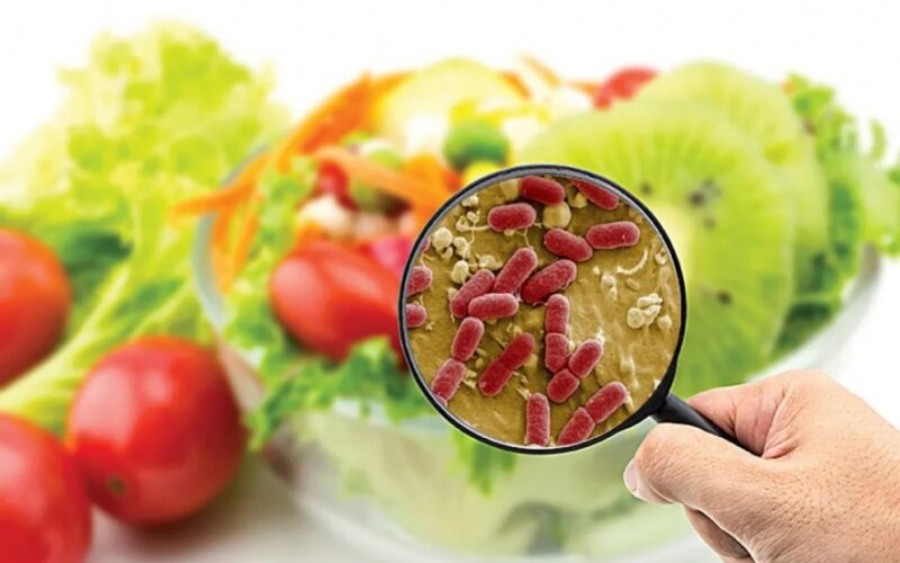 Mantener la cadena de frío de los alimentos para prevenir enfermedades durante el verano