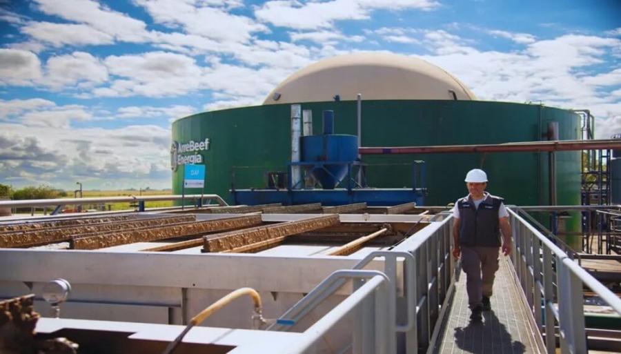 ¿Qué hacer con los residuos de los frigoríficos?: crece el aprovechamiento del compost mediante biodigestores