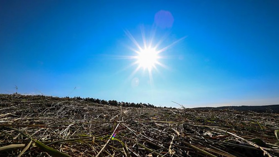 Con una Niña tenue de regreso habrá que analizar el escenario de siembra gruesa