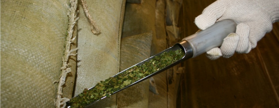 Más de veinte marcas de yerba mate en el mercado con el singular sello "Indicación Geográfica" Yerba Mate Argentina