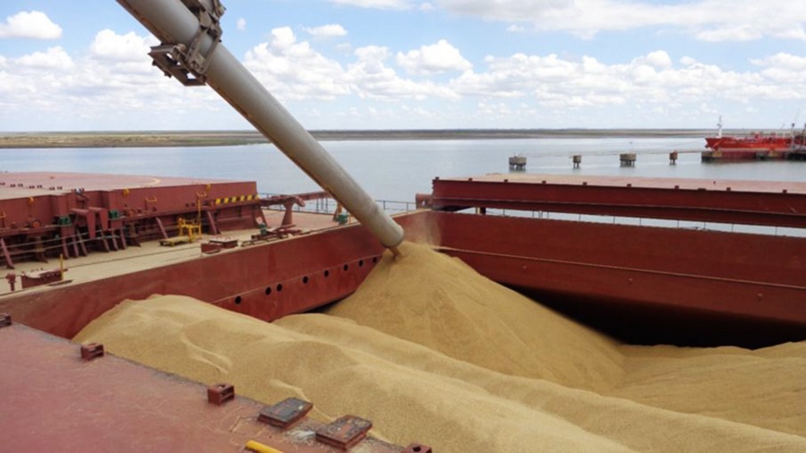 Agroexportadores liquidaron en Enero 60% menos de soja que el año pasado