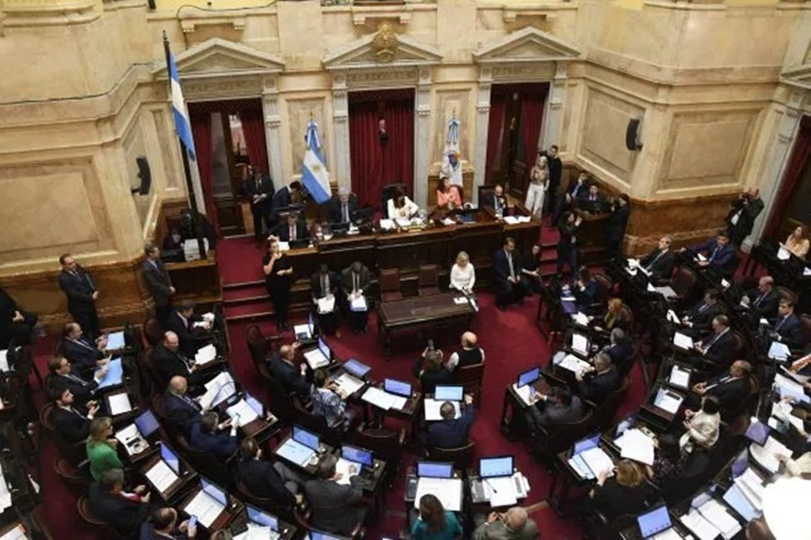 En una votación reñida: El Senado aprobó la continuidad de la Jueza Ana María Figueroa