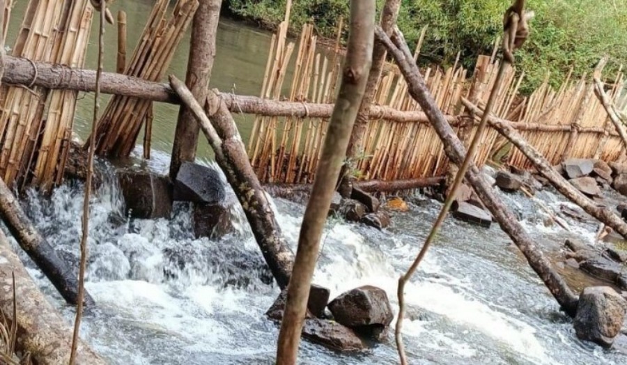 Policías y Guardaparques de la provincia de Misiones realizaron rastrillajes en cauces de arroyos y desarmaron estructuras de “Trampas París”