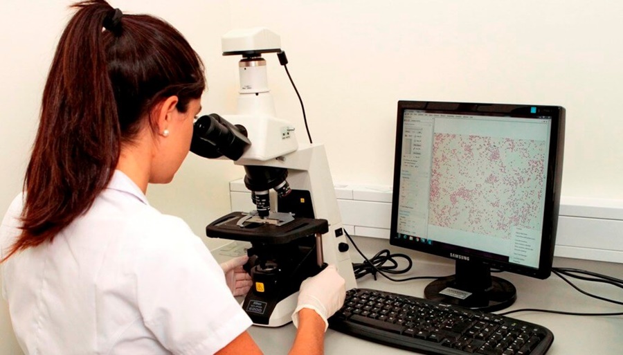 Europa y un plan ambientalista con muchas dudas: ¿Se pueden reemplazar químicos por biológicos?