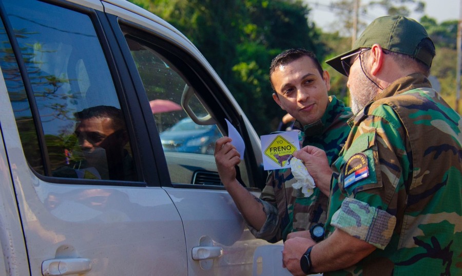 “Yo freno por la fauna”: En la provincia de Misiones instan a la población a conducir con prudencia para evitar atropellamientos de animales