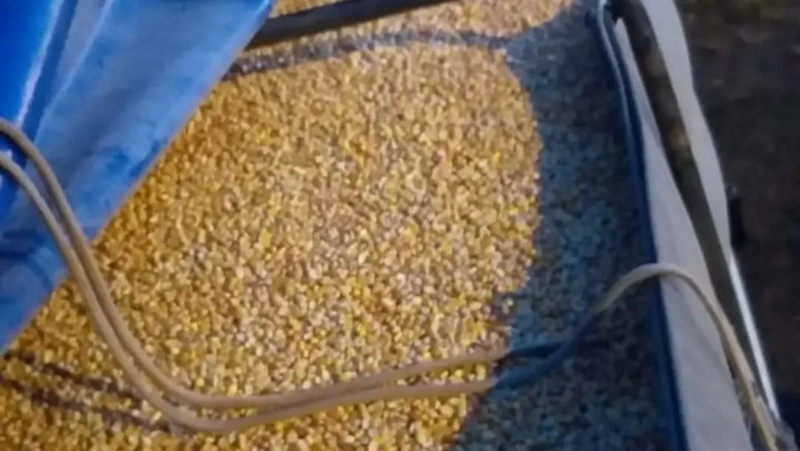 Misiones: En los últimos 15 días la Policía Provincial secuestró más de 540 toneladas de granos ingresados ilegalmente