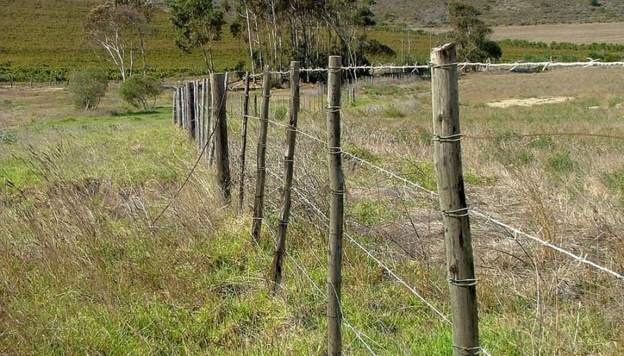La provincia donde más tierras se venden: Mendoza, a la cabeza del mercado inmobiliario rural