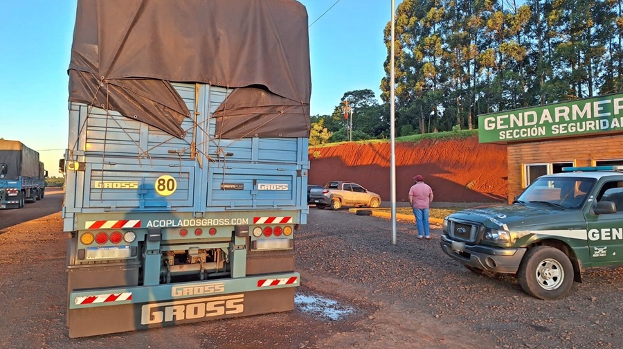 Gendarmería Nacional secuestró más de 270 toneladas de granos