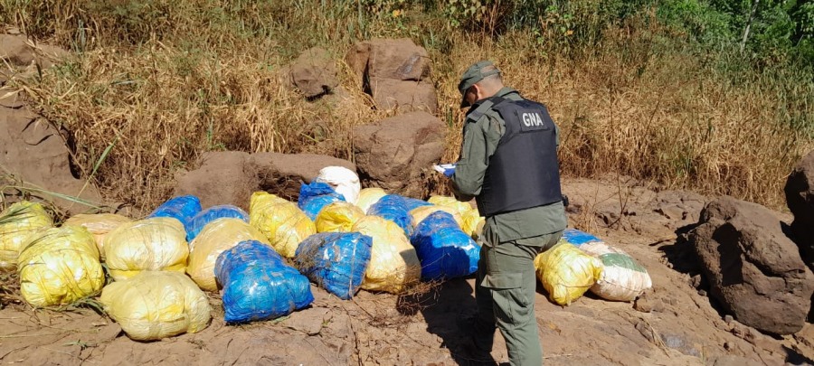 Gendarmería Nacional secuestró marihuana valuada en más de 770 millones de pesos: El estupefaciente se encontraba acopiado y oculto en una zona montuosa