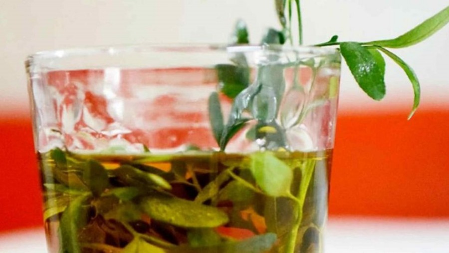 1° de Agosto: Se celebra el Día de la Pachamama y se toma la tradicional caña con ruda