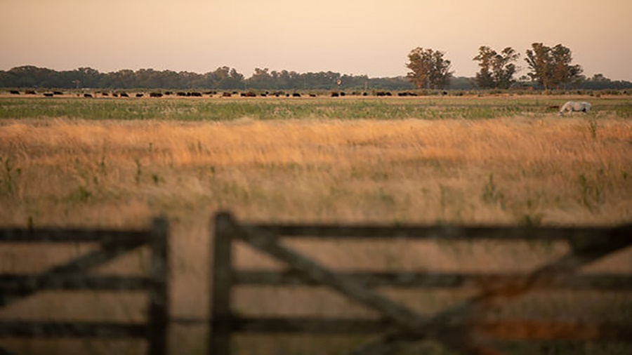 Se espera una baja en los arrendamientos agrícolas de Córdoba
