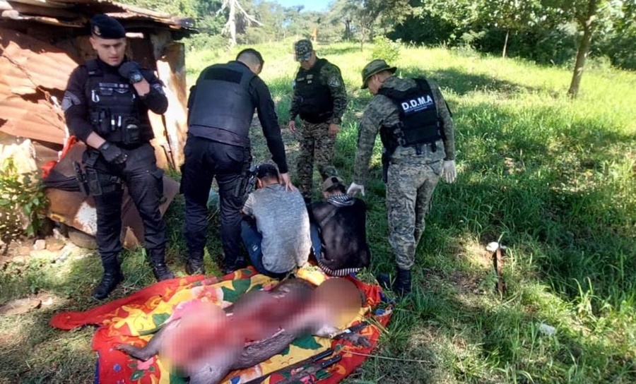 Misiones: Arrestaron a dos cazadores cuando faenaban a un carpincho en el Municipio de Candelaria