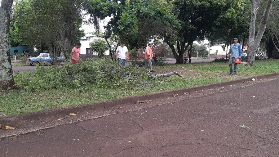 Apóstoles: Fuertes vientos azotaron la ciudad con caídas de árboles, desprendimiento de gajos con la consecuencia que el tendido de la red del servicio eléctrico fue arrastrado hacia el suelo