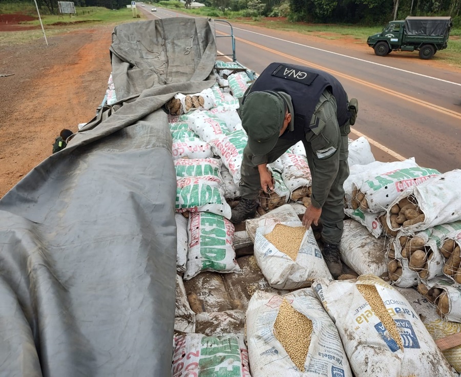 Gendarmería Nacional realizó una importante incautación de cargamento de granos de soja, que era transportaba de manera oculta y embolsados