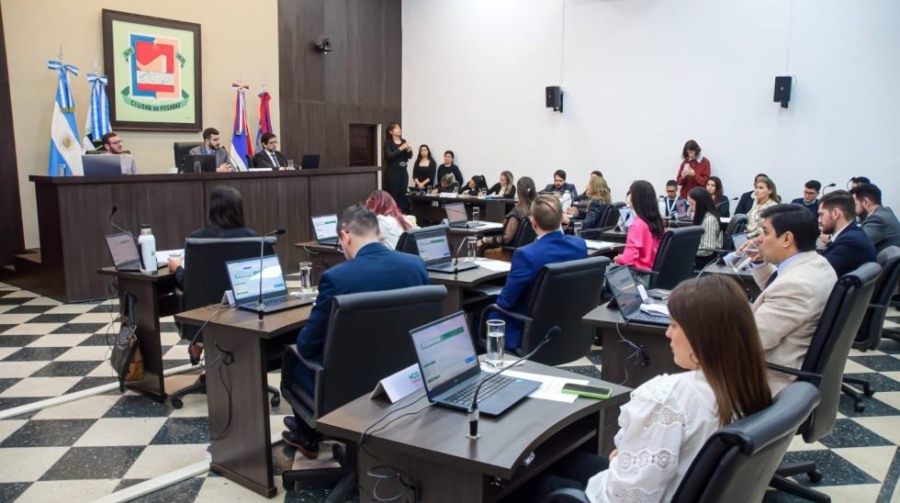 Honorable Concejo Deliberante de Posadas regularía la adopción de animales de compañía